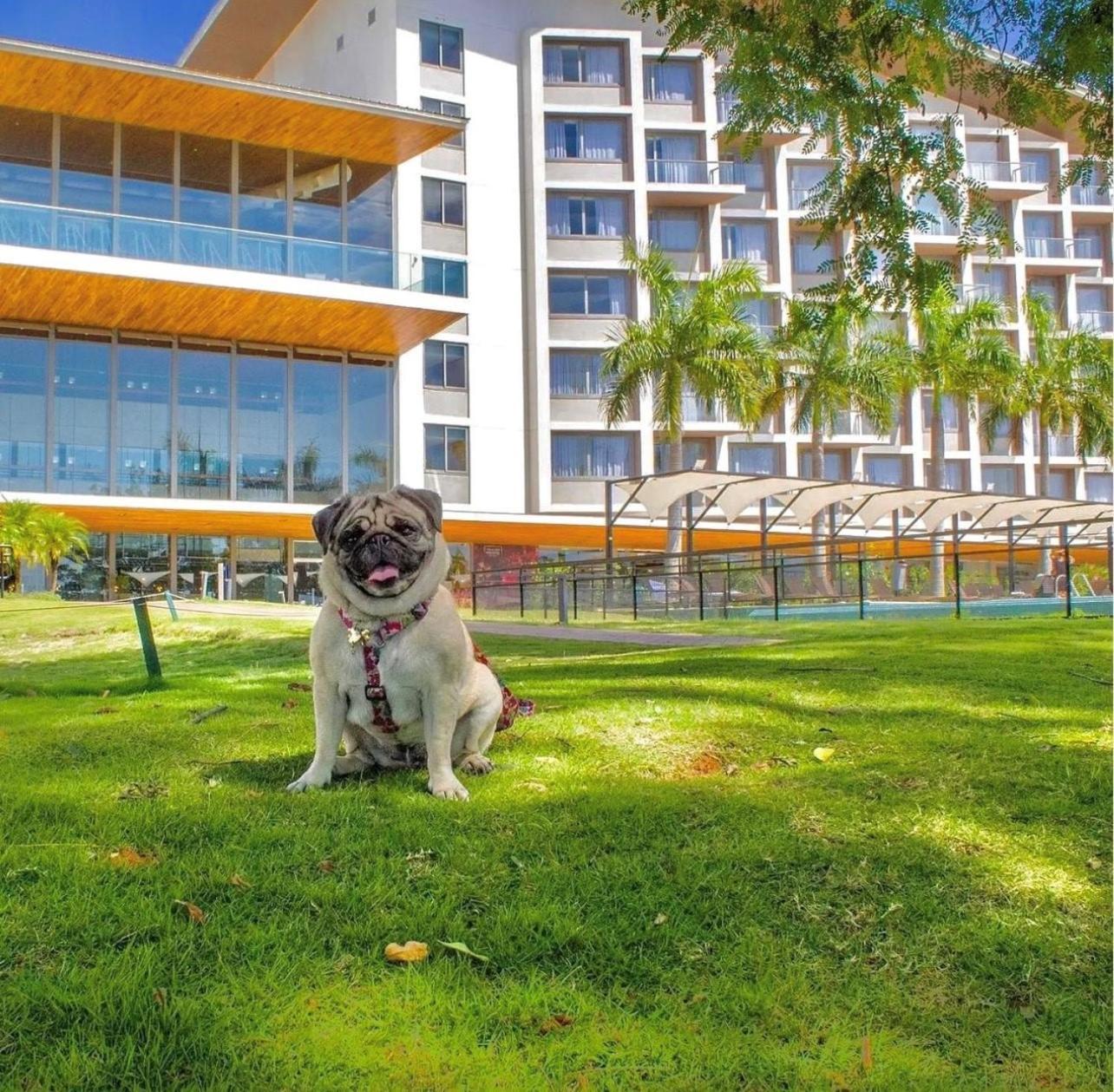Novotel Itu Terras De Sao Jose Golf & Resort Luaran gambar